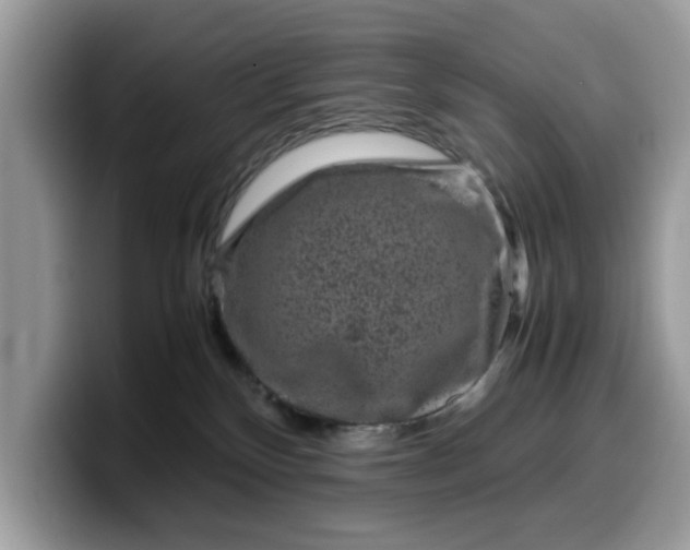 X0000099570136200805301548