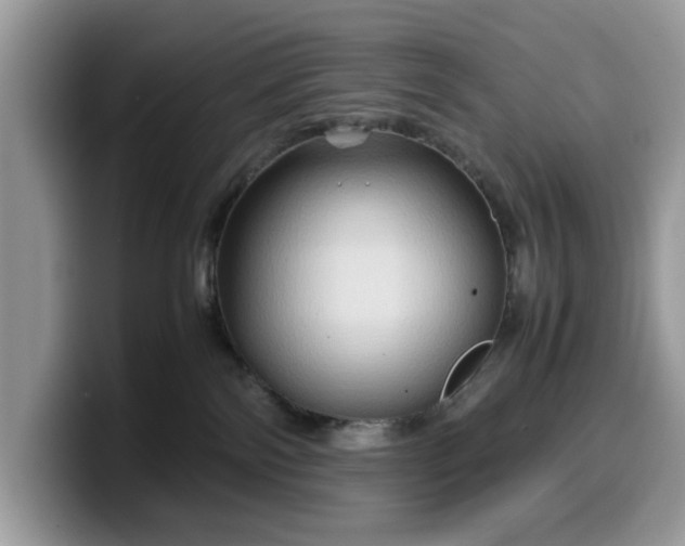 X0000099570138200805301548