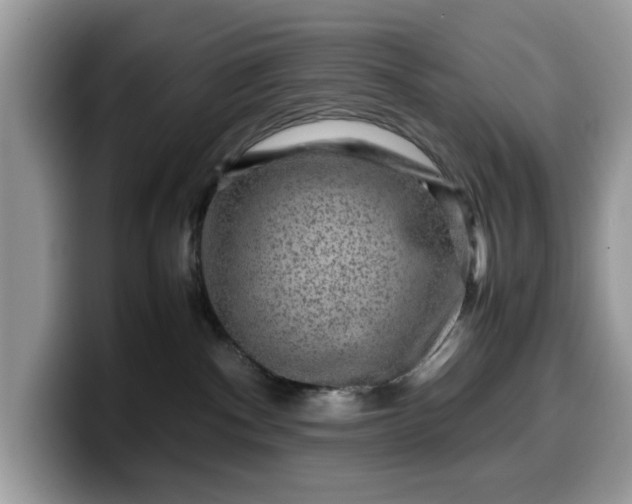 X0000099570140200805301548