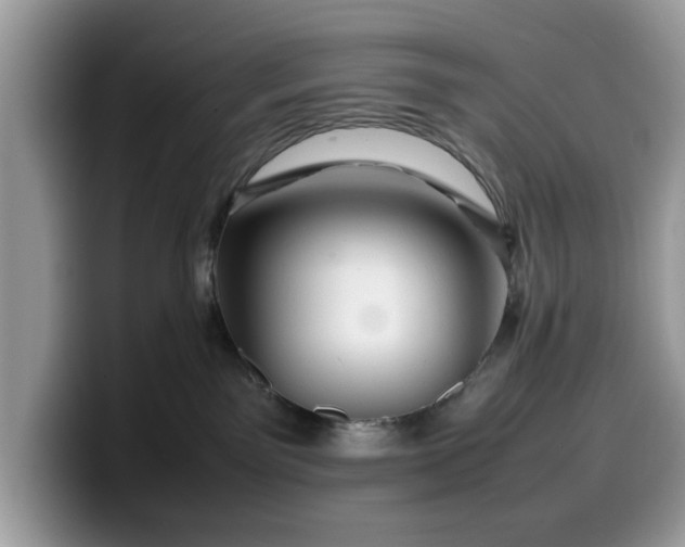 X0000099570141200805301548