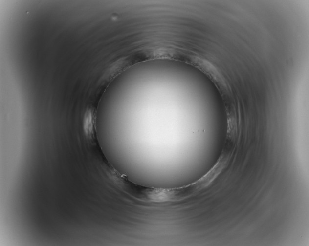 X0000099570142200805301548