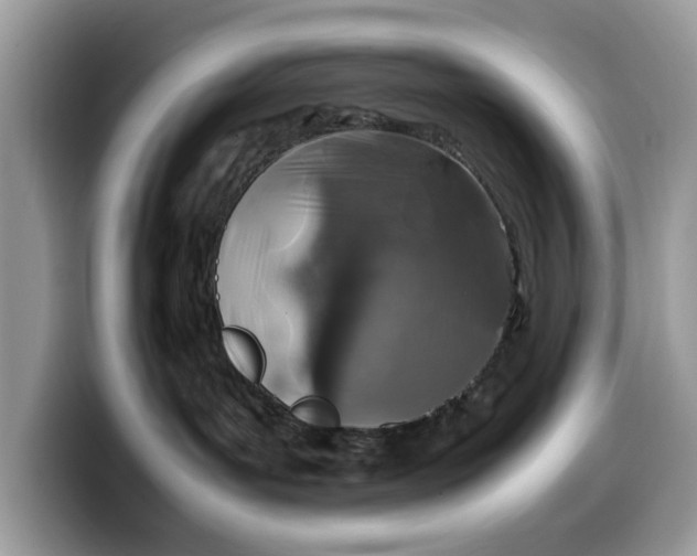 X0000099570143200805301548