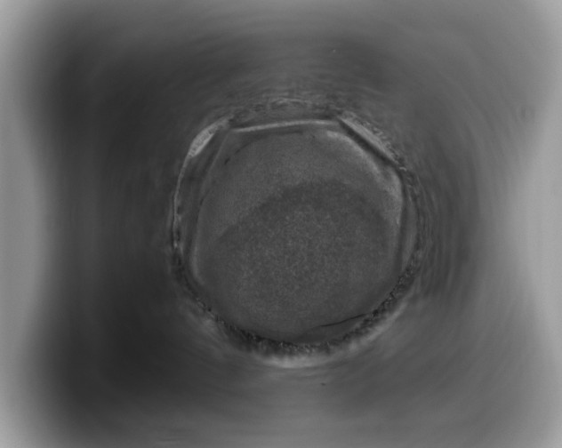 X0000099570144200805301548