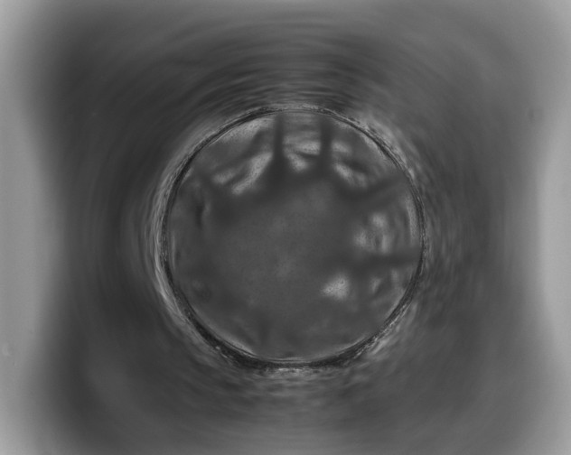 X0000099570145200805301547