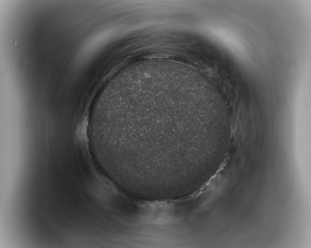 X0000099570146200805301547
