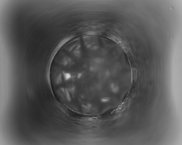 X0000099570147200805301547