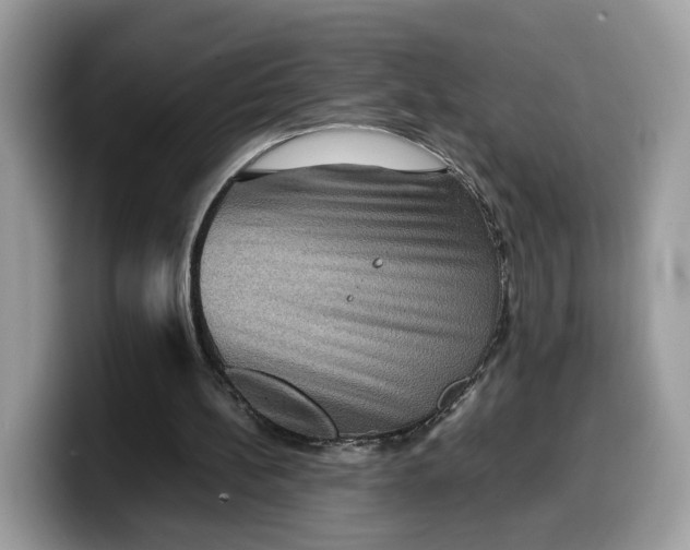 X0000099570148200805301547