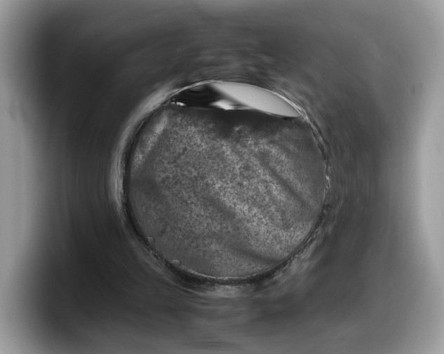 X0000099570149200805301547