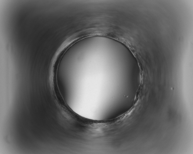 X0000099570150200805301547
