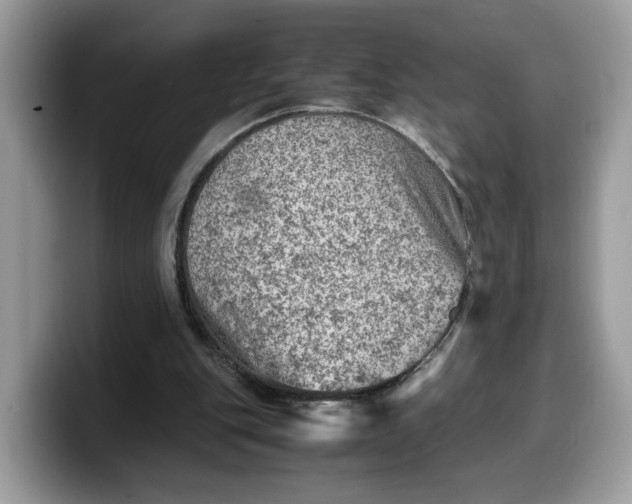 X0000099570151200805301547