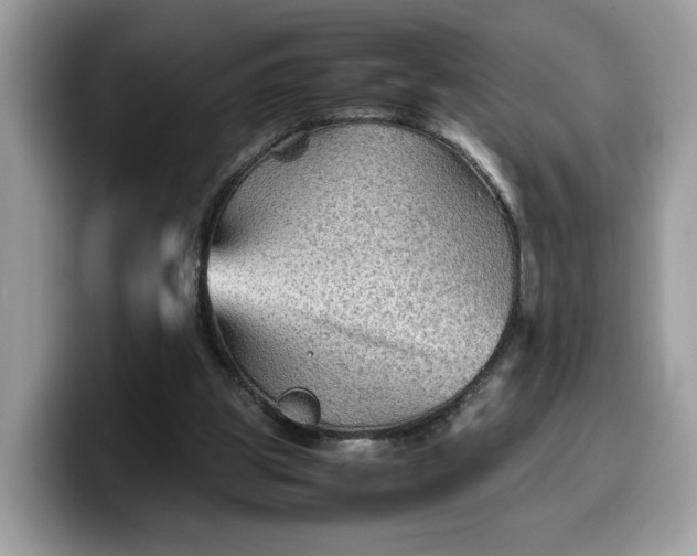 X0000099570153200805301547