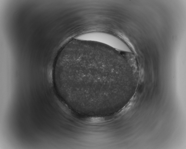 X0000099570154200805301547