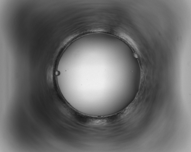 X0000099570155200805301547