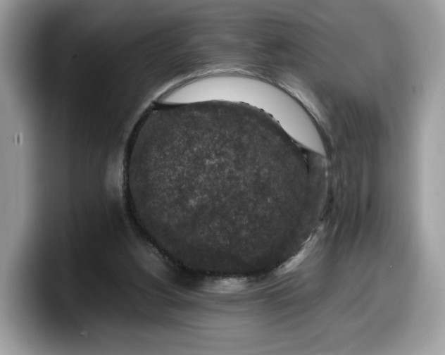X0000099570156200805301547
