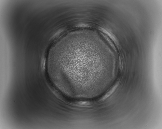 X0000099570157200805301547