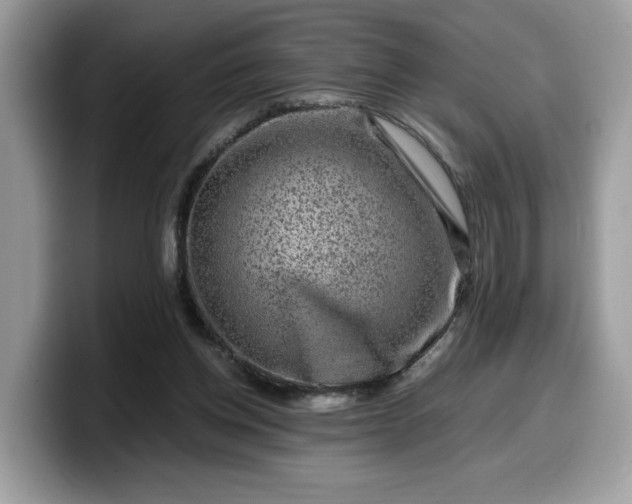 X0000099570158200805301547