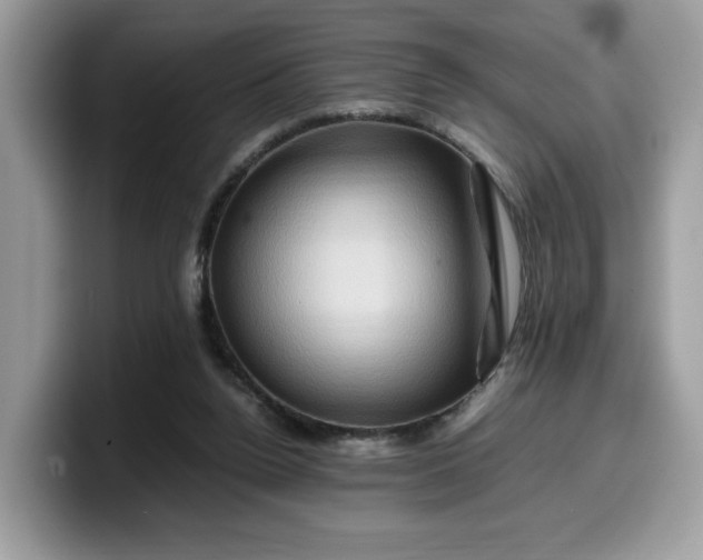 X0000099570160200805301547
