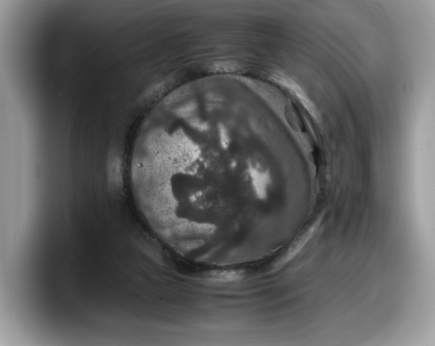 X0000099570161200805301547