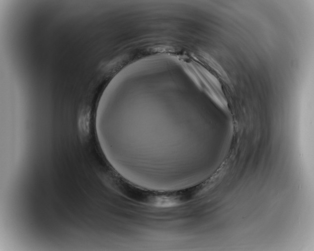 X0000099570163200805301547
