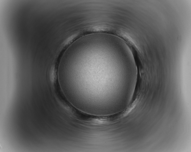 X0000099570164200805301547