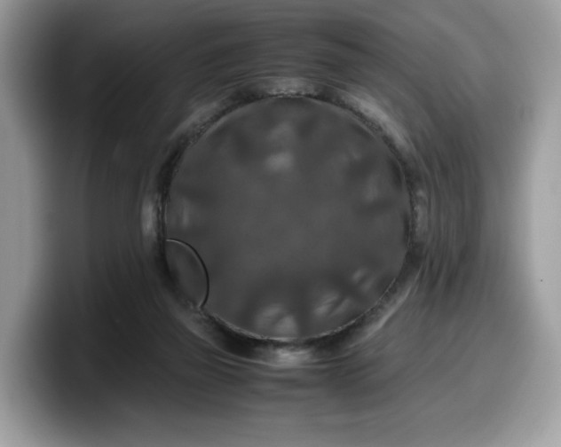 X0000099570165200805301547