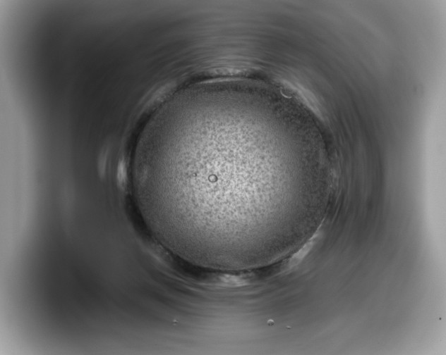 X0000099570166200805301547