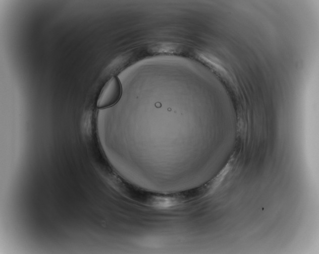 X0000099570167200805301547