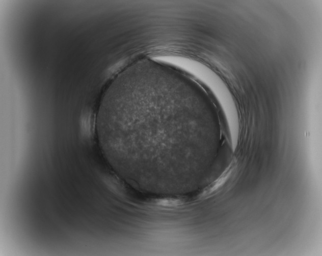 X0000099570168200805301547