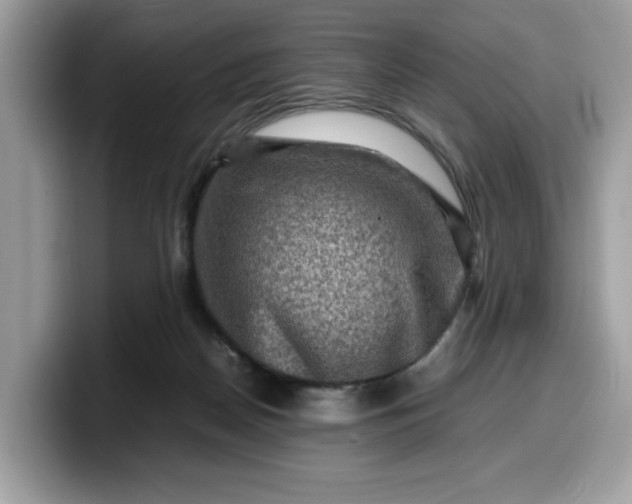 X0000099570170200805301547