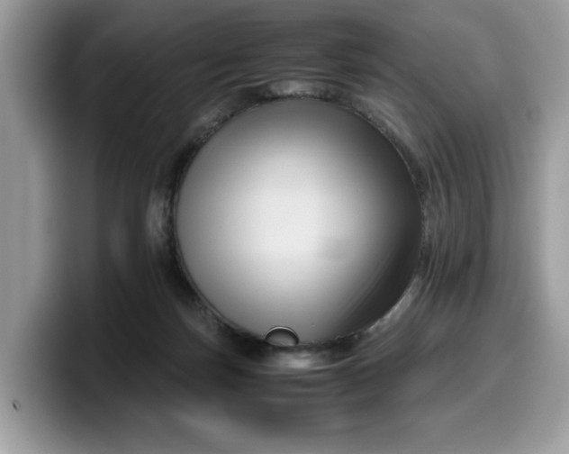 X0000099570171200805301547