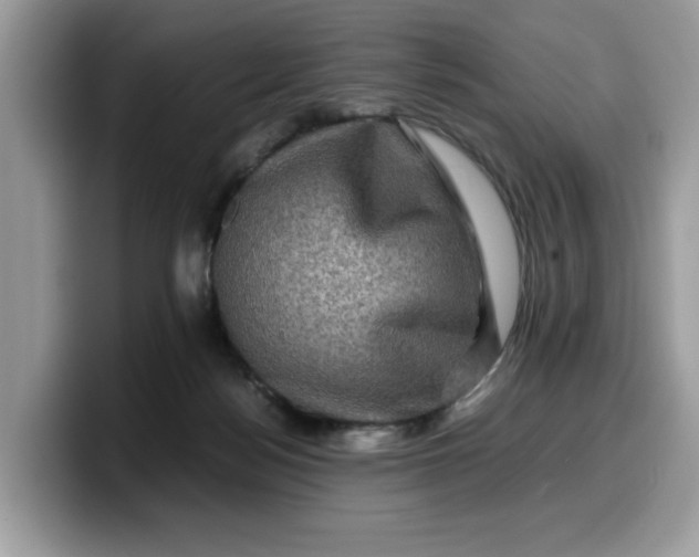 X0000099570172200805301547