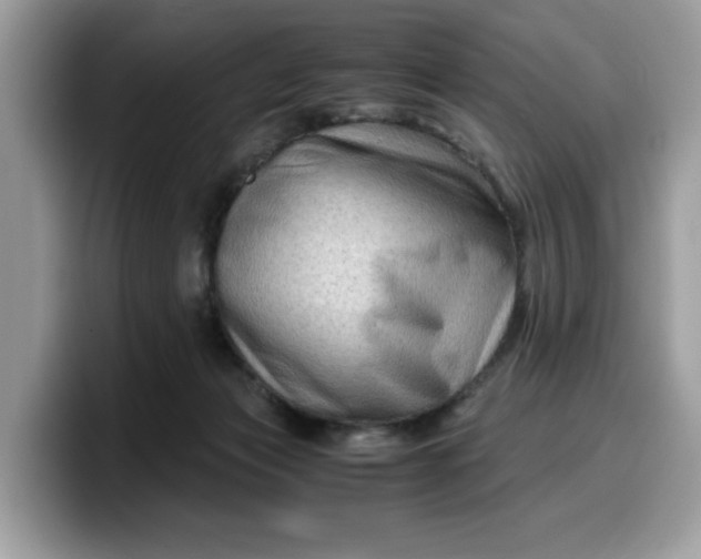 X0000099570173200805301547