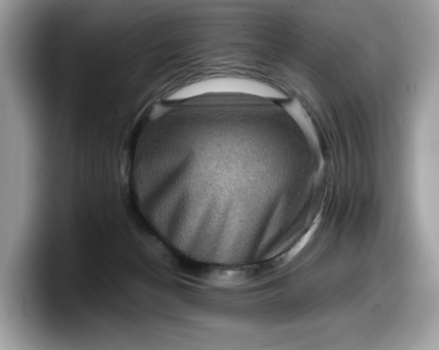 X0000099570174200805301547