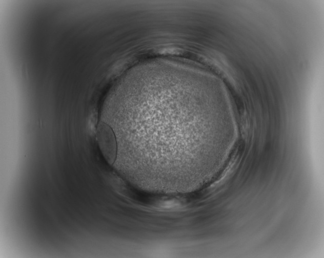 X0000099570175200805301547