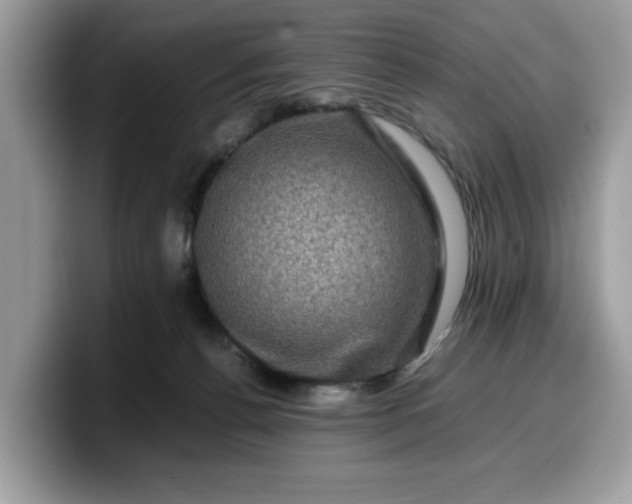 X0000099570176200805301547