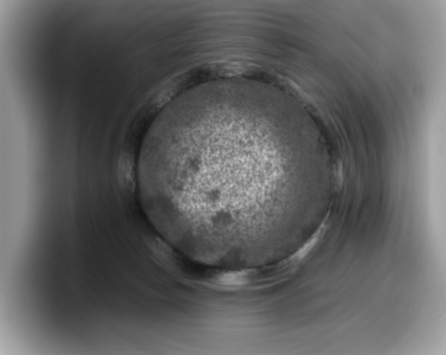 X0000099570178200805301547