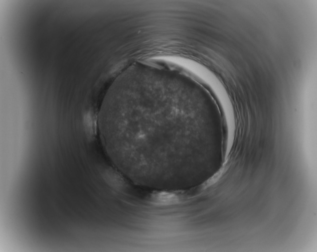X0000099570180200805301548