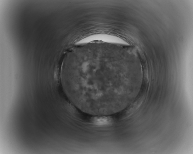 X0000099570181200805301548