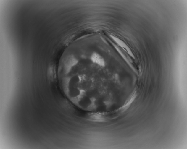 X0000099570182200805301548