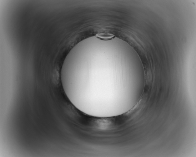 X0000099570183200805301548