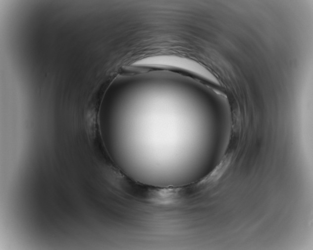 X0000099570184200805301548