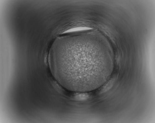 X0000099570185200805301548