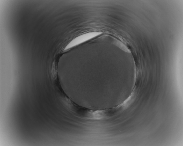 X0000099570186200805301548