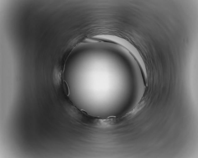 X0000099570188200805301548