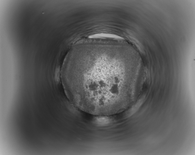 X0000099570189200805301548