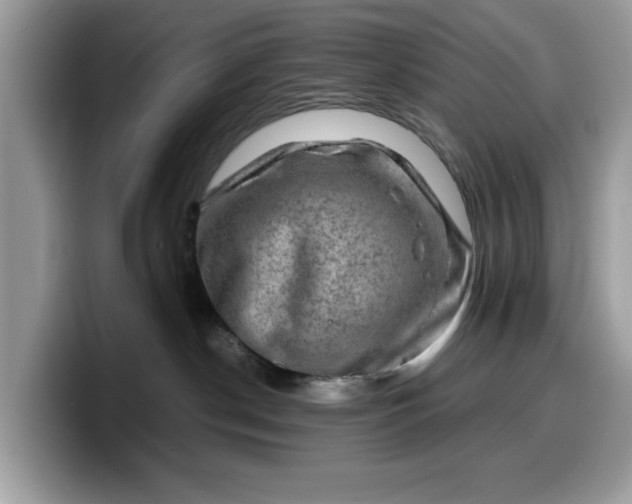 X0000099570190200805301548