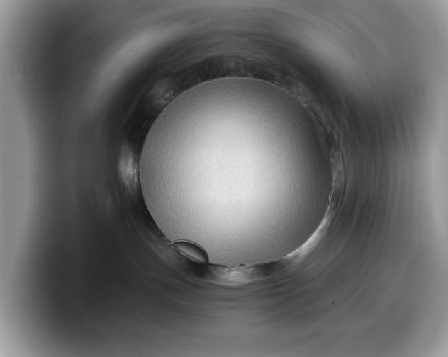 X0000099570191200805301548