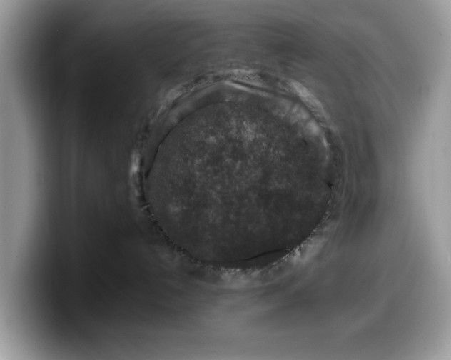 X0000099570192200805301548