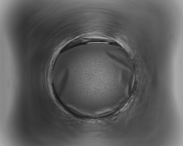 X0000099570193200805301547