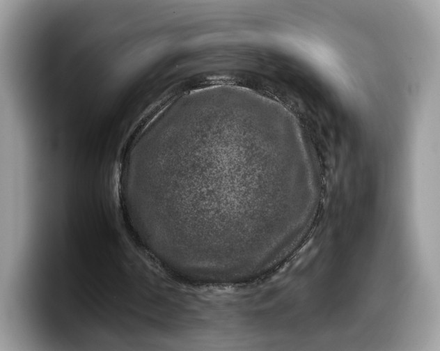 X0000099570194200805301547